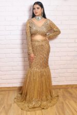 Fish Cut Lehenga Set