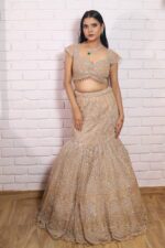 Beige gold fish cut lehenga with dupatta