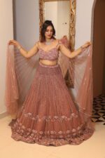 onion pink heavy bell sleeves lehenga
