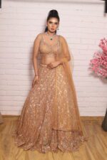 Rust orange heavy lehenga with beautiful blouse
