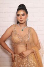 Rust orange heavy lehenga with beautiful blouse