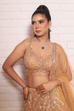 Rust orange heavy lehenga with beautiful blouse