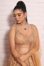 Rust orange heavy lehenga with beautiful blouse