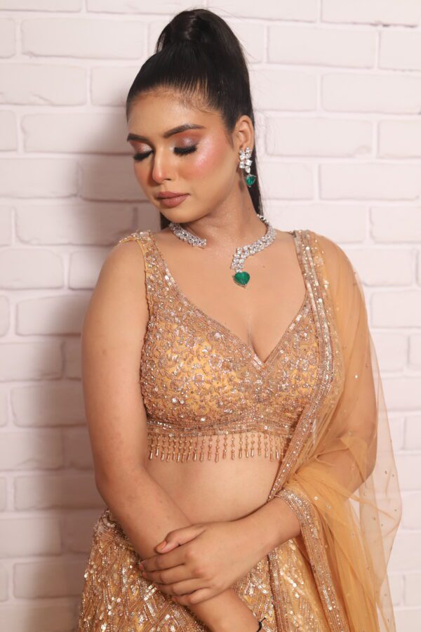Rust orange heavy lehenga with beautiful blouse