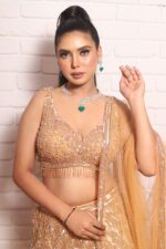 Rust orange heavy lehenga with beautiful blouse